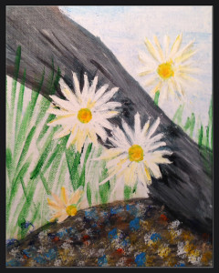 Daisies 5x6.5 sm